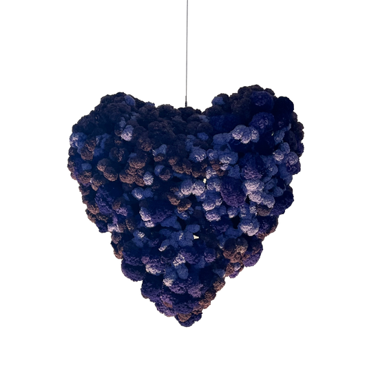 amor de lã