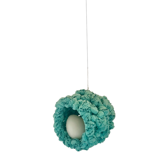 ninho casulo